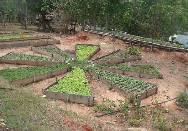 Finca Agroecologica El Paraiso