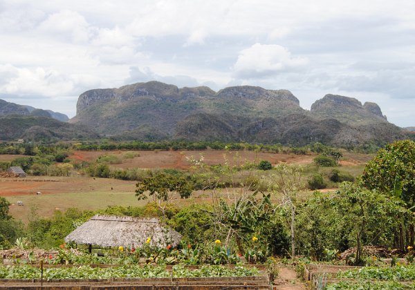 Vinales, un paysage de mogottes